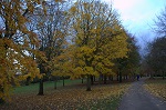 Autumn 06