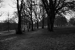 Winter Days 07