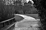 Winter Days 02