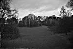 Winter Days 18