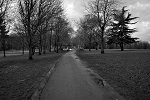 Winter Days 11