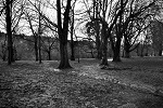 Winter Days 04